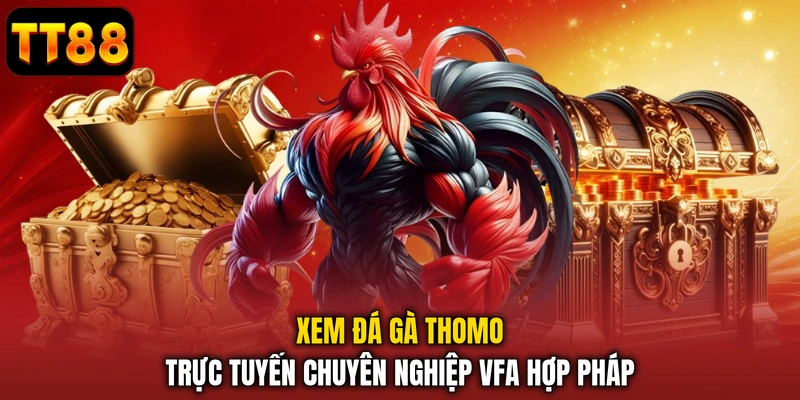 Đá gà Thomo